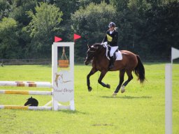 IMG_1226_web